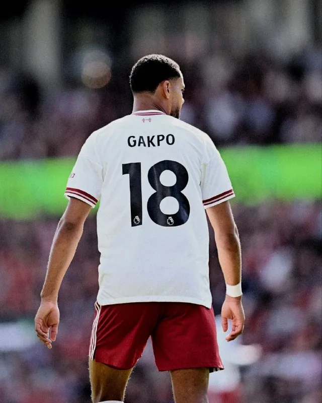 Andoni Iraola Cody Gakpo haqqında